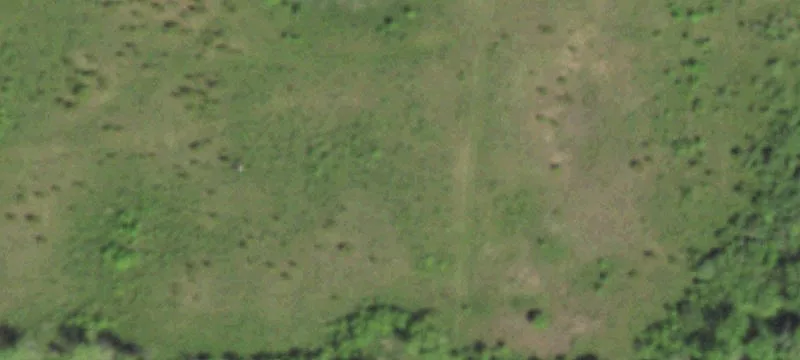 Algoma, WI 54201