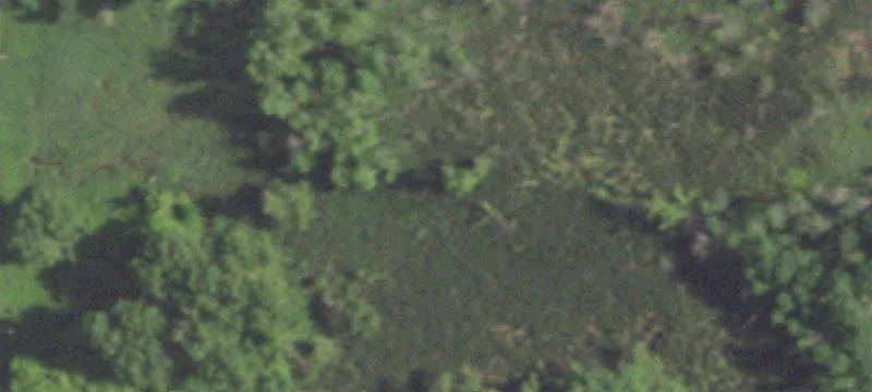 2938 State Rd 83