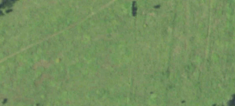 Ringle, WI 54471