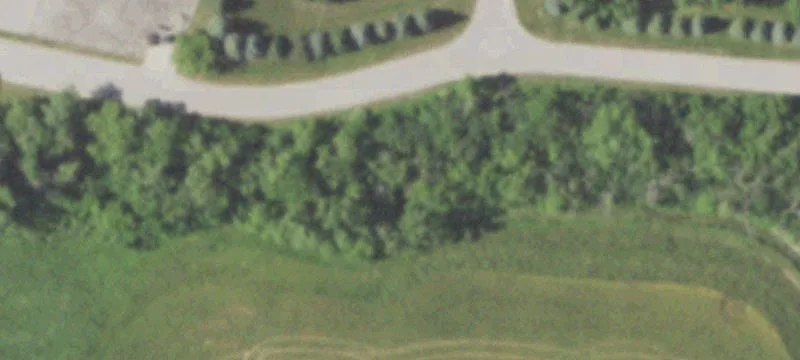 Wildflower Dr