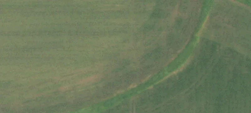 Arlington, WI 53911