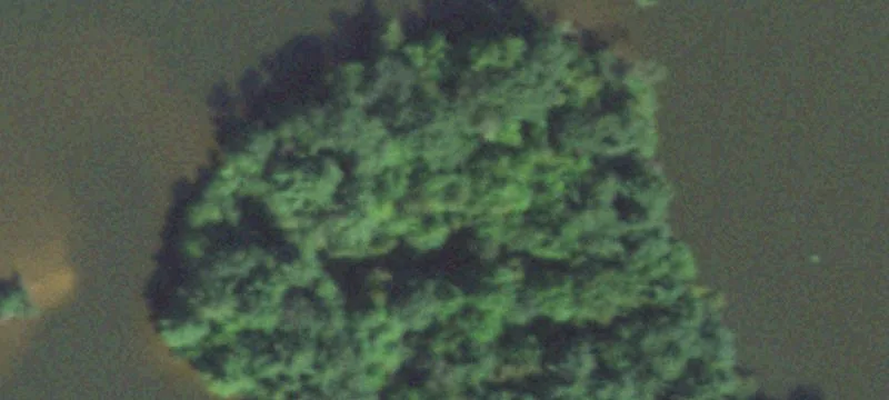 Mosinee, WI 54455