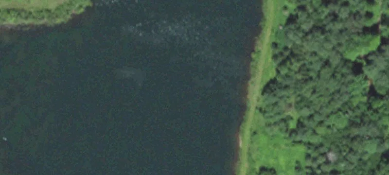Edgar, WI 54426