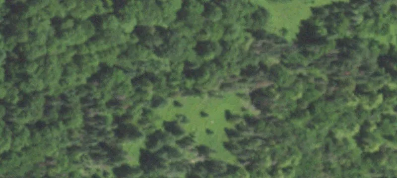 Tigerton, WI 54486