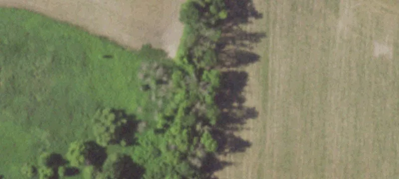 Colgate, WI 53017