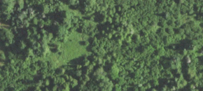 Wittenberg, WI 54499