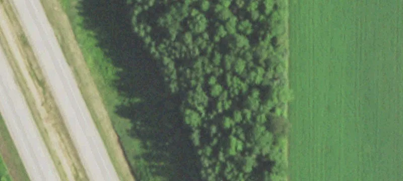 Wittenberg, WI 54499