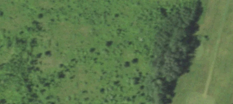 Whitelaw, WI 54247