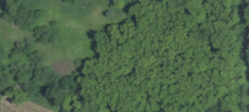 Walworth, WI 53184