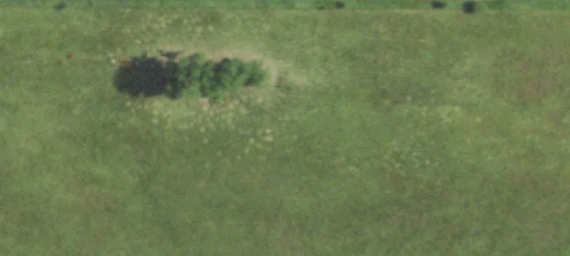 Mineral Point, WI 53565
