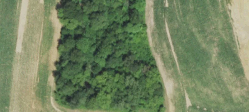 Ellsworth, WI 54011
