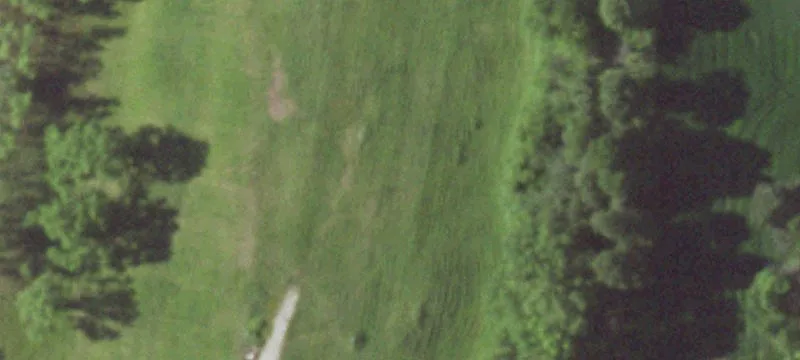 State Hwy 164