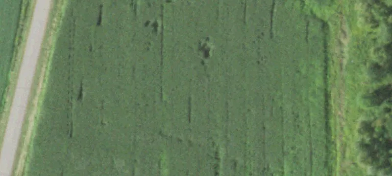 Spencer, WI 54479