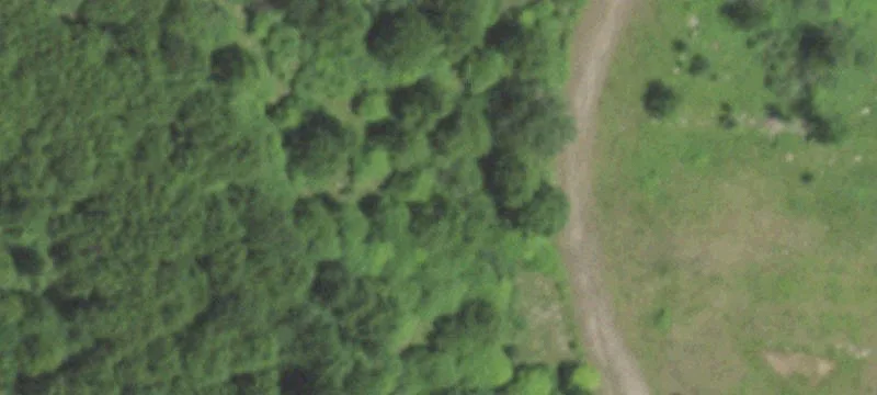 Tigerton, WI 54486