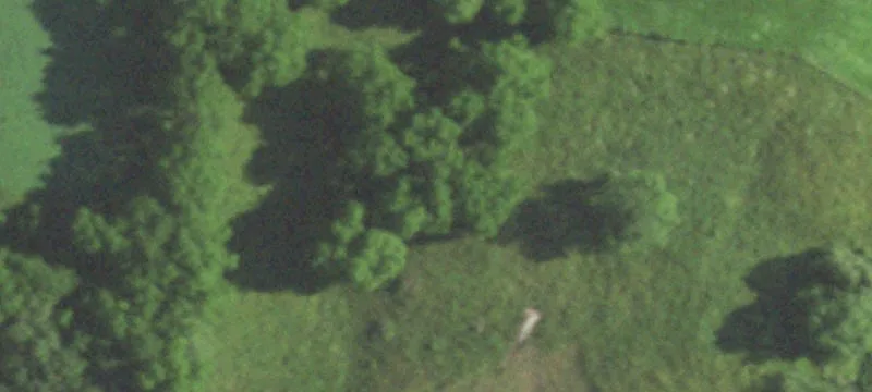 Barneveld, WI 53507