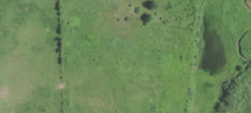 Linden, WI 53553