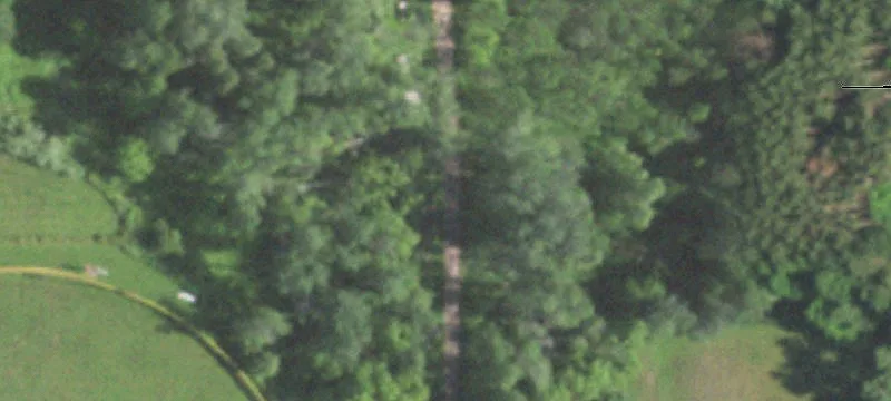 Birnamwood, WI 54414