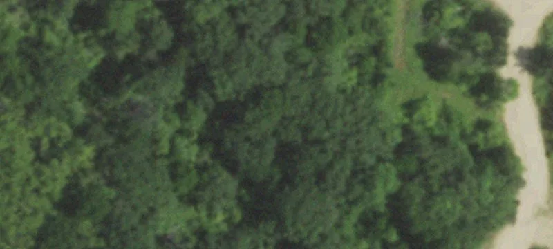 8770th State Rd 11