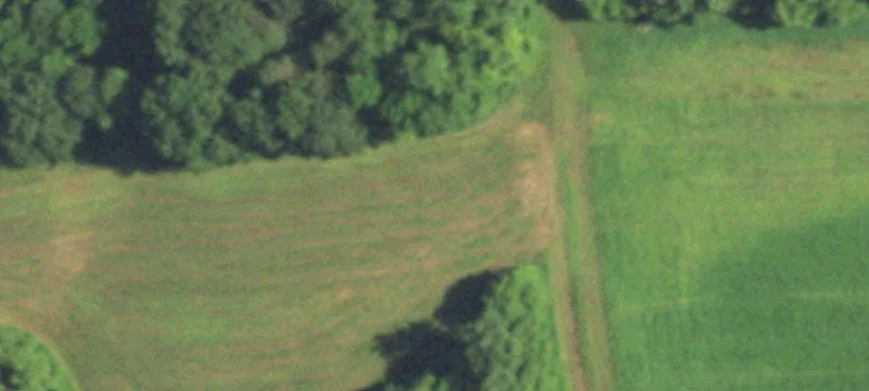 Rio, WI 53960