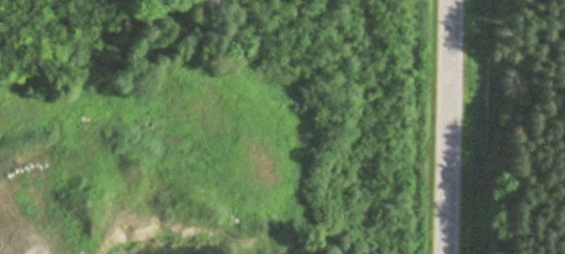 Birnamwood, WI 54414