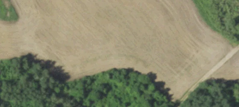 Reedsville, WI 54230