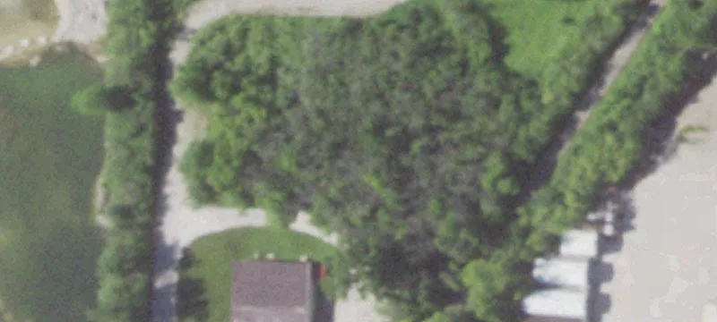 Dudovick Dr