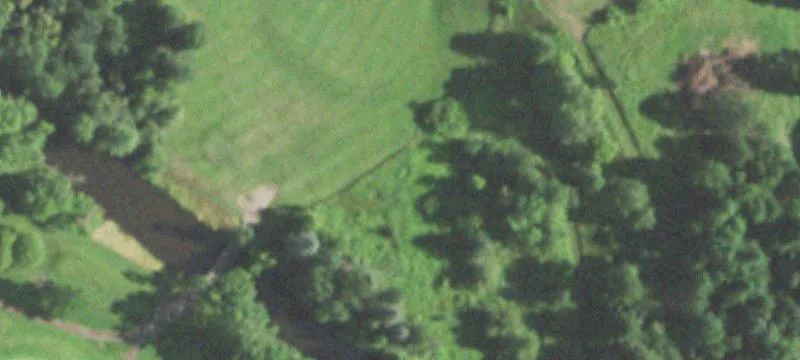 Wittenberg, WI 54499