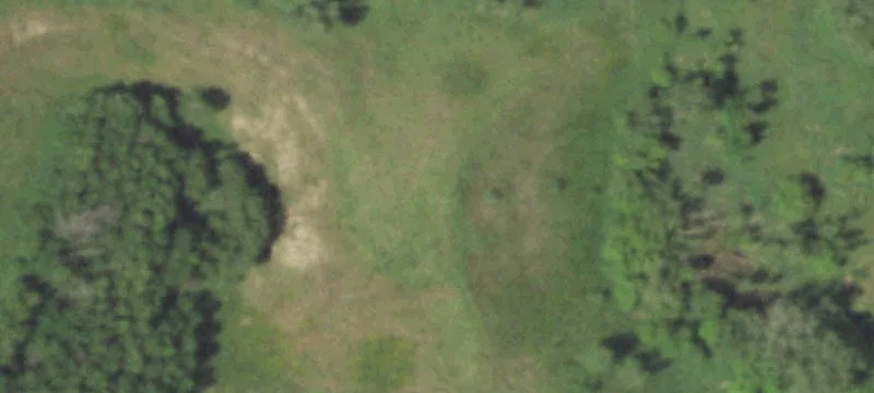 Whitelaw, WI 54247