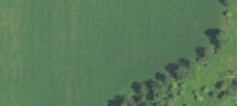226590 Stankowski Ln