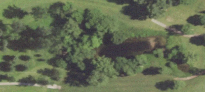 Cecil, WI 54111