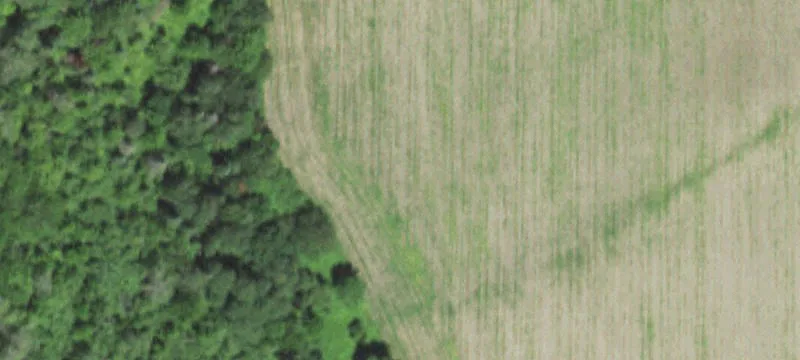 Athens, WI 54411