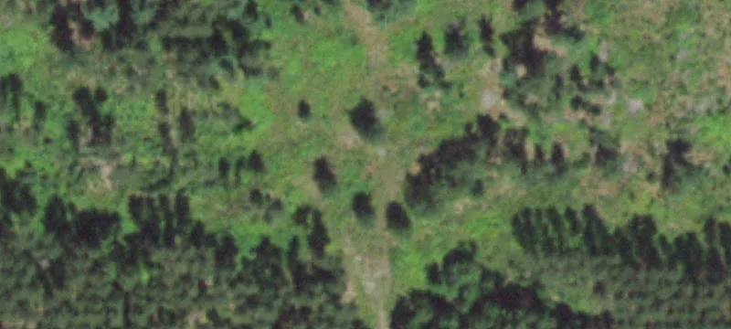 Stevens Point, WI 54481