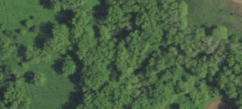 Palmyra, WI 53156