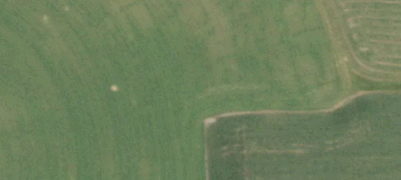 Montfort, WI 53569