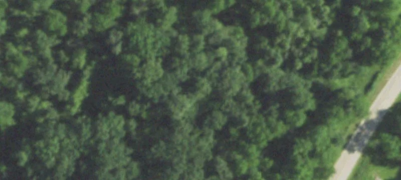 Hollandale, WI 53544