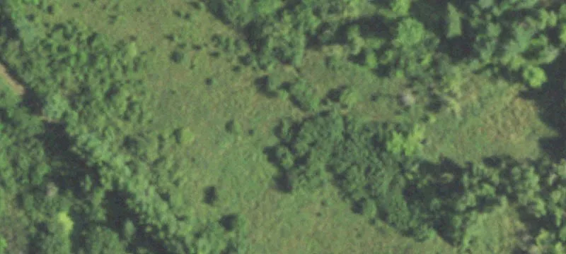 Wittenberg, WI 54499