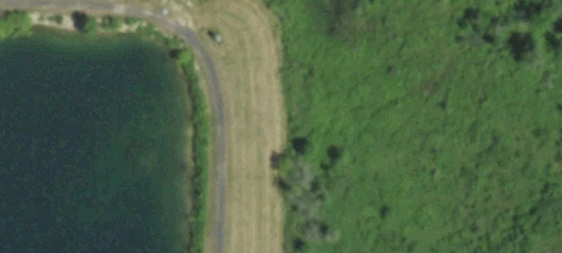 Brandon, WI 53919