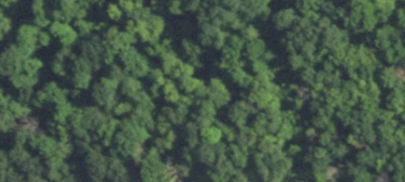 Rio, WI 53960