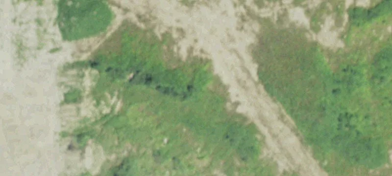 Athens, WI 54411