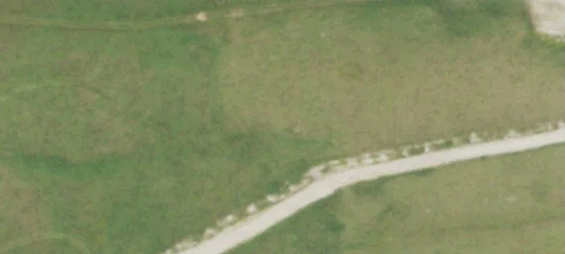 Whitelaw, WI 54247