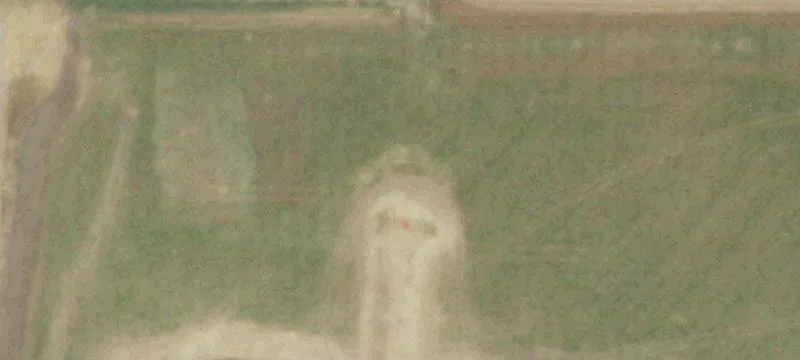 Montfort, WI 53569