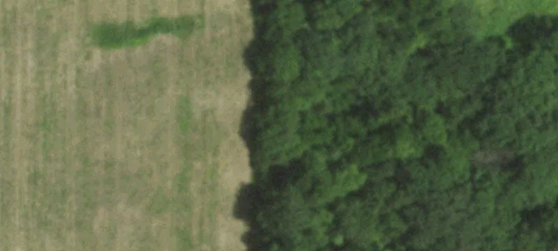 Cambridge, WI 53523