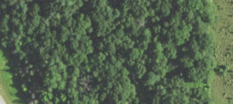 Wittenberg, WI 54499