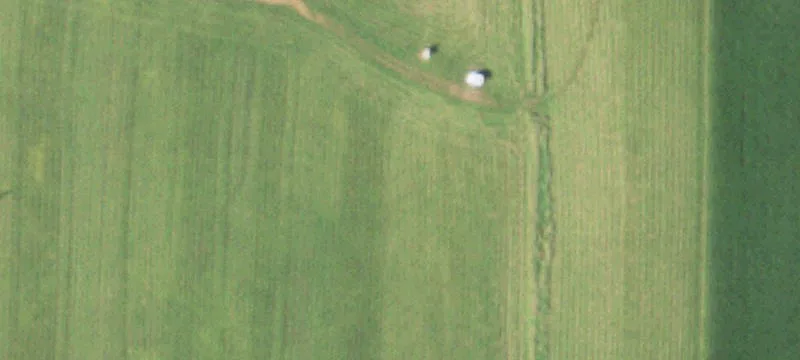 Athens, WI 54411