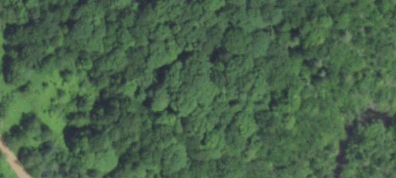 Mattoon, WI 54450