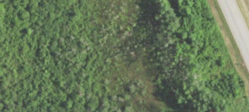 Wittenberg, WI 54499