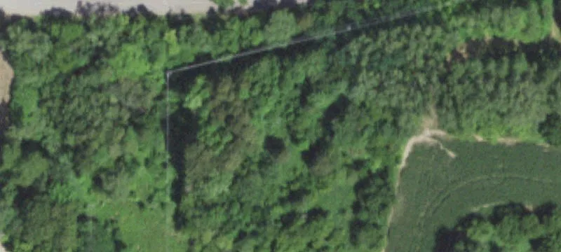 Ellsworth, WI 54011