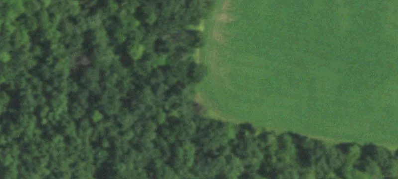 Lodi, WI 53555