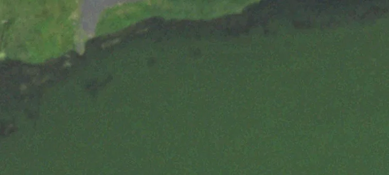 Brandon, WI 53919