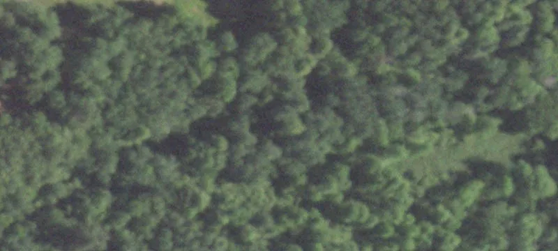Shawano, WI 54166